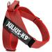 Julius-K9 Red-Grey Belt Harness L/1 | High-Quality Pet Gear for International Shipping - Buy Online on GoSupps.com