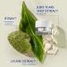 SEKKISEI CLEAR WELLNESS Water Shield Cream - Facial Moisturizer for Sensitive Skin | 1.4 oz - Hydrating & Soothing Ships Internationally - Buy Online on GoSupps.com