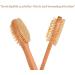 Attaga Back Brush with Massage Function - Ergonomic Long Wooden Bathing Brush for Dry Skin & Exfoliation - Buy Online on GoSupps.com