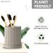 Bamboo Toothbrush Pack of 6 | Ultra-Soft Charcoal Bristles | Eco-Friendly Biodegradable & Natural Oral Care - Buy Online on GoSupps.com