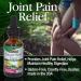 Nature's Answer Ginger Root Extract - Organic Joint Pain Relief & Digestive Support | 1 oz - Buy Online on GoSupps.com