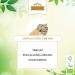 Ausha Organic Ashwagandha Powder 500g - Anxiety Stress Relief Sleep Aid | Premium Quality for Energy & Wellness - 1 Pack - Buy Online on GoSupps.com