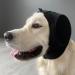 Safe Dogs Ears XL Hearing Protection - Prevent Hearing Damage for All Dog Breeds - Buy Online on GoSupps.com