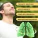 PIRTA Mullein Drops for Lungs Lung Cleanse - Leaf Extract Powerful Mullein for Immune Support Respiratory Support & Lung Cleanse Herbal Supplements - 1.01 fl oz - Buy Online on GoSupps.com