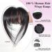 Bangs Hair Clip Human Hair Hairpieces Toppers for Women Wispy Fake Clip in Bangs Black Brown Air Bang Fringe Blunt Bangs Clip in Hair(Color:Black Thick Bang) 1 piece Black Thick Bang - Buy Online on GoSupps.com