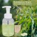 12 Pack Foaming Hand Soap Tablet Refills | Zero Waste, Eco-Friendly & Eucalyptus Scented | Makes 12x 8 fl oz Bottles - Shop Now! - Buy Online on GoSupps.com