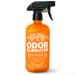 ANGRY ORANGE Pet Odor Eliminator for Strong Odor - Citrus Deodorizer for Dog or Cat Urine Smells on Carpet, Furniture & Floors - Puppy Supplies 24oz (Pack of 1)