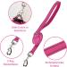 Buy Medium Rose Padded Dog Harness for Small Dogs - Comfortable Puppy Harness for Ultimate Control - Buy Online on GoSupps.com