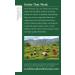 Organic Hawthorn & Hibiscus Herbal Tea | Heart Health Support | 16 Tea Bags - Buy Online on GoSupps.com