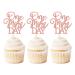 Keaziu 24 Pack One More Day Cupcake Toppers Wedding Dinner Bachelorette Cupcake Picks Wedding Theme Cake Decorations for Wedding Birthday Party Decorations Supplies Rose Gold 1 Rose Gold One 1
