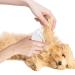 Display Knife Cat - 10-Piece Knot Comb Set for Cats | Hair Removal & Massage Tool | Pet Care Brush in White - Buy Online on GoSupps.com