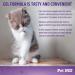 Pet MD Lysine Support Gel for Cats - Allergy & Immune Support - Salmon Flavour - 50mL - Buy Online on GoSupps.com