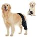 Petmingham Dog Knee Brace for ACL Knee Cap Dislocation Arthritis - Joint Pain Muscle Sore - Better Recovery - Reduces Pain and Inflammation -Adjustable Dog Rear Leg Braces (Size: S) Small