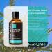 MAYJAM Cypress Essential Oil 30ML - Pure Fennel Oil for Diffuser & Humidifier - DIY Home & Wardrobe - 30.00 ml (Pack of 1) - Buy Online on GoSupps.com