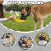BONTHEE Dog Muzzle Mesh Soft Muzzle for Small Medium Large Sized Dogs Breathable Reflective Adjustable Puppy Muzzles with Collar for Scavenging Grooming Biting Chewing Allows Panting and Drinking XXL - Buy Online on GoSupps.com