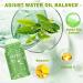 Green Tea Purifying Clay Stick - Green Tea Mask/Cleansing Facial Face Mask Moisturizes Oil Control Deep Clean Pore for All Skin Types Men and Wom - Buy Online on GoSupps.com