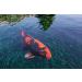 Buy Sera Koi Color Nature Medium 21L (7kg) - Natural Spirulina Fish Food for Colorful Koi (12-25cm) - No Colors or Preservatives - Buy Online on GoSupps.com