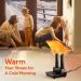 Dr.Prepare Shoe Dryer - Fast Electric Foot Warmer & Boot Dryer for Quick Drying - Ideal for Shoes Hats & Ski Boots - Buy Online on GoSupps.com