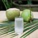 Buy BAMBOO TREE Coconut Water 330ml - Refreshing Natural Beverage | International Shipping Available - Buy Online on GoSupps.com