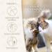 Felisept Family Comfort Starter Set for Multi-Cat Households | Natural Cat Sedative & Relaxation Agent (Evaporator + 45ml Flakon) - Buy Online on GoSupps.com