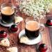 Vertuo Coffee Capsules Decaffeinated Assortment - Decaf Melozio Decaf Fortado and Decaf Altissio & Vertuo Coffee Gran Lungo Half Caffeinato Sweet & Velvety Experience - Buy Online on GoSupps.com