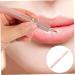 POPETPOP Make up Brush Makeup Lip Gloss Applicator Lip Lip Wands Lipstick Applicator Lip Lipstick Brush Retractable Lip Balm Miss Artificial Fiber Double Head - Buy Online on GoSupps.com