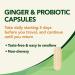Gravol Ginger Traveler's Shield Probiotic - Nausea and Upset Stomach Relief - Reduces risk of Traveler's Diarrhea - Organic ginger with Probiotic - Non-Drowsy - 24 Capsules (Pack of 1) Ginger + Probiotic 24 Count (Pack of 1) - Buy Online on GoSupps.com