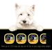Cesar Breakfast Collection Gourmet Wet Dog Food Pack of 24 - Steak & Eggs - Buy Online on GoSupps.com