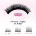 Self-Faned Easy Fan Eyelashes | Volume Technology C-D Curl Extensions | 2D-20D 0.05mm Thickness | 13mm Length - Shop Internationally - Buy Online on GoSupps.com