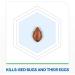 Raid Bed Bug Foaming Spray 16.5 oz - Kills Bed Bugs & Eggs, Indoor Use, Non-Staining, Long-Lasting - Buy Online on GoSupps.com