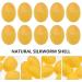 PRETYZOOM Lot de 12 Boules Nettoyantes Visage en Soie Naturelle Jaune Exfoliation Douce Nettoyage de Beaut Bio Coques de Cocons de Soie Soin Visage Naturel et Hypoallerg nique Peau - Buy Online on GoSupps.com