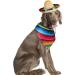 Dog Sombrero Hat & Bandana Set for Cinco De Mayo Fiesta - Multicolor Straw Mexican Hat and Pet Triangle Bib Costume - Buy Online on GoSupps.com