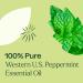 Plant Therapy Peppermint Western U.S. Essential Oil 30 mL (1 oz) 100% Pure Undiluted Therapeutic Grade - Buy Online on GoSupps.com