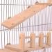 Bird Perches Cage Toys Play Gyms Stands with Climbing Ladder & Swing for Green Cheeks, Lovebirds, Chinchillas - Bird Cage Chewing Toys Set - Buy Online on GoSupps.com
