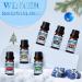 SALKING Winter Essential Oils Set for Aromatherapy & Candle Making - Cinnamon, Sugar Cookie, Cranberry, Peppermint, Gingerbread Scents - Buy Online on GoSupps.com