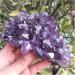 Amethyst Rough Stone 540-560g Natural Dream Amethyst Quartz Crystal Cluster Specimen - Buy Online on GoSupps.com