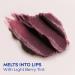NIVEA Vegan Lip Care Acai Seed Oil & Shea Butter Lip Balm Stick 0.17 Oz (Pack of 4) - Buy Online on GoSupps.com