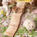 Rat Ladder Bridge Wooden Hamster Climbing Ladder and Swing Small Animal Bendable Fence Climbing Stair Toy Cage Accessories for Bird Parrot Hamsters Chipmunks - Buy Online on GoSupps.com