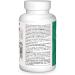 Source Naturals Spirulina 500 mg - 200 Tablets | Premium Superfood for Energy & Immunity - Buy Online on GoSupps.com