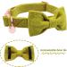 Dogwong Green Dog Collar with Removable Fly - Adjustable Comfortable Pet Collar for Small to Large Dogs - Perfect Gift for Girls & Young Dogs (Pack of 1) - Buy Online on GoSupps.com