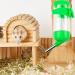 HAICN Hamster Water Bottles Automatic Water Feeder No Drip Guinea Pig Water Bottle Small Animal Pet Water Bottle for Hamster Squirrel Rabbit (Blue) - Buy Online on GoSupps.com