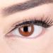 Brown premium contact lenses 'Jasmine Choco' Colored lenses with strength brown + container of glamlens soft 3 -month lenses in 2 -pack -5.00 -5.0 diopters 8.6 millimeters 14.00 millimeters 2.0