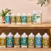 Buy Faith in Nature Wild Rose Body Wash - Vegan Cruelty-Free Paraben & SLS Free 5L Refill | International Shipping - Buy Online on GoSupps.com