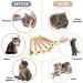 Kitten Teething Toys 6 Pcs Natural Silvervine Sticks Kitten Teething Toys Catnip Toys Chew Sticks Cat Teeth Cleaning Teeth Chew Toy for Indoor Cat Teeth Cleaning Kitten Teething and Stress Release - Buy Online on GoSupps.com