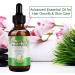 Vrtdhy Rosemary Oil 100% Pure for Hair Growth & Skin Care 60ml Essential Oil for Eyebrow and Eyelash Nourishes The Scalp for Men Women - Buy Online on GoSupps.com
