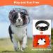 Shop Hjumarayan Adjustable Waterproof Dog Collar - Soft Leak Protection & Injury Prevention (Red Size S) - Buy Online on GoSupps.com