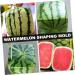 FUNOMOCYA Watermelon Shaping Vegetables Vegetable Vegetable Mould Large Moss Pole Watermelon Strawberry Ginseng Fruit 15x15cm Transparent - Buy Online on GoSupps.com