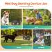 Antibell for Dogs - 50ft Ultrasonic Anti-Bark Device | 3 Training Modes for Indoor & Outdoor Use - Buy Online on GoSupps.com