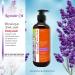 Natural Solution Bath & Body Gift Set - Relaxing Lavender Oil Body Wash Hand Soap Charcoal Soap & Bath Salt - Ideal Birthday & Christmas Personal Care Gifts (4 in 1 - Buy Online on GoSupps.com