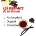 Ilanga Nature - Vanille Bourbon - Tube de 3 Gousses - Buy Online on GoSupps.com